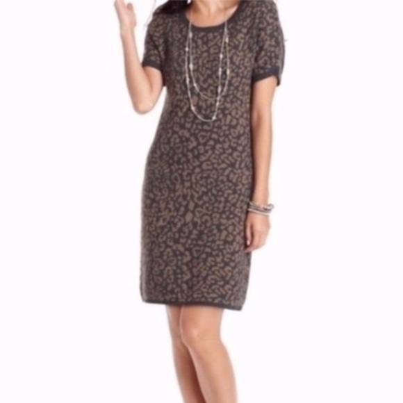 Ann Taylor Loft Leopard Animal Print Short Dolman Sleeve Sweater Dress - Picture 2 of 12